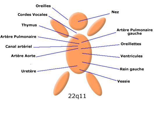 Petit Paul
